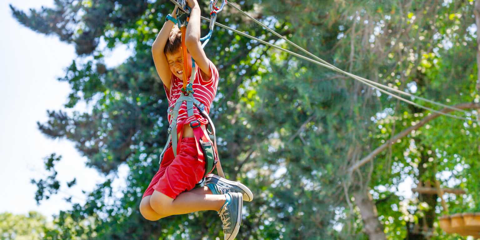 Soar Through the Treetops on a Zip Line Adventure