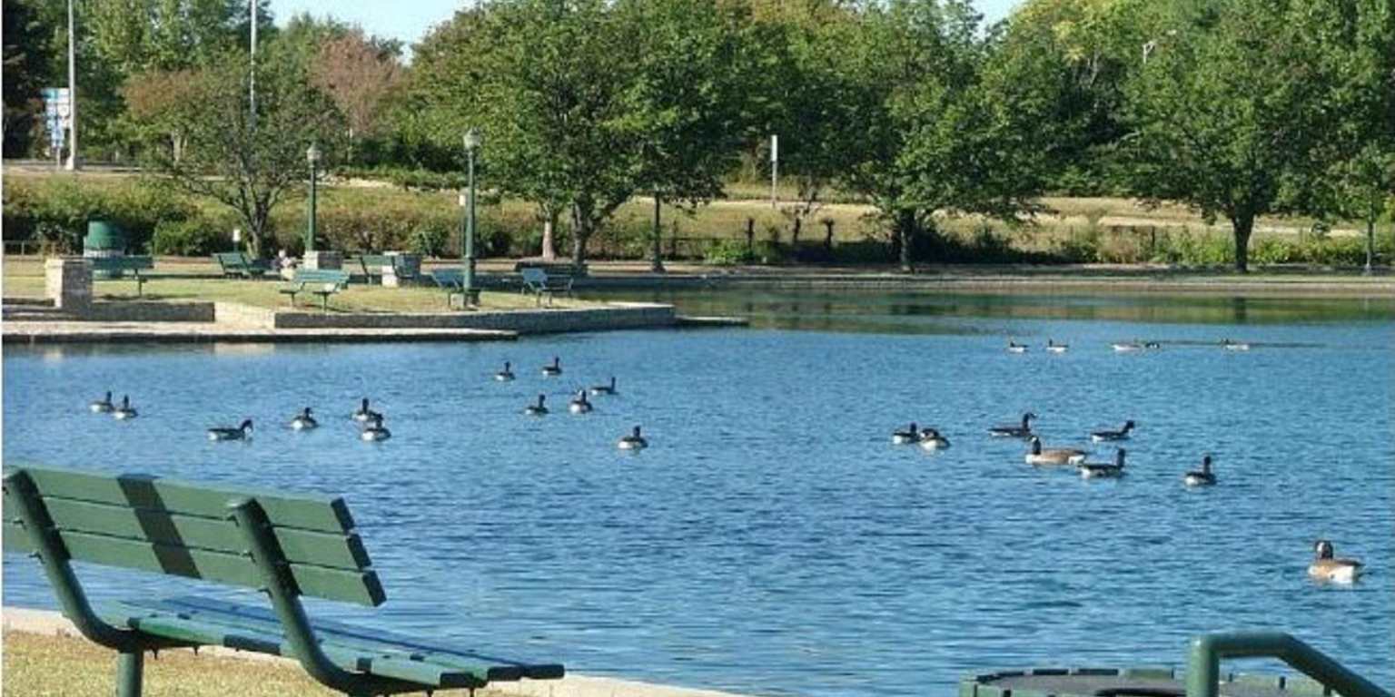 Embrace the Outdoors at a Local Park